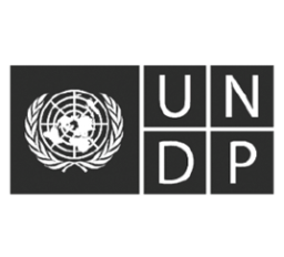 UNDP